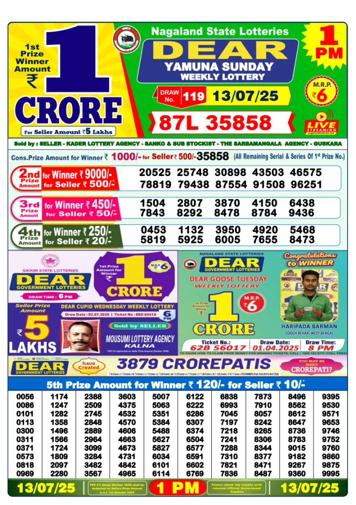 Dear Lottery Result Today(13-7-2025) | 1PM