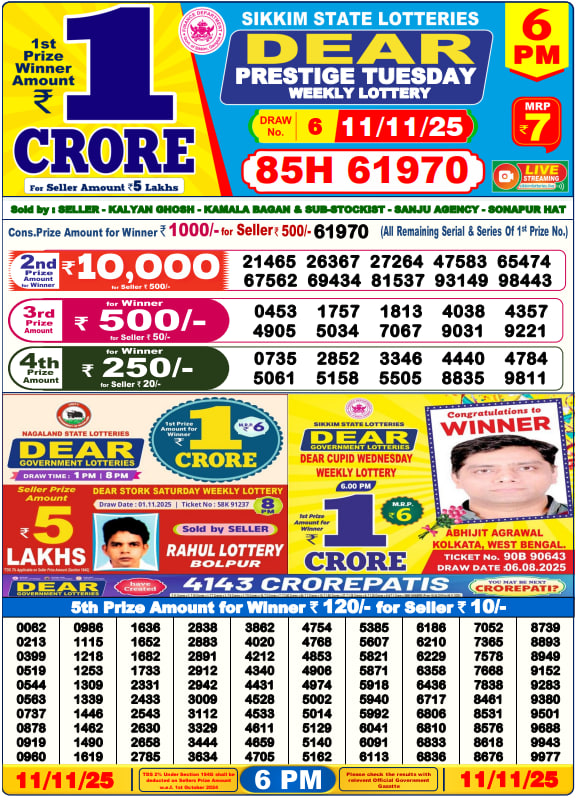 Dear Lottery Result Today(11-11-2025) | 6 PM