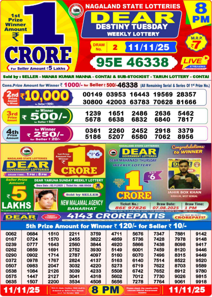 Dear Lottery Result Today(11-11-2025) | 8 PM